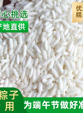 连州特产2025年新米农家长糯米新鲜散装长粒糯米包粽子饭团白糯米
