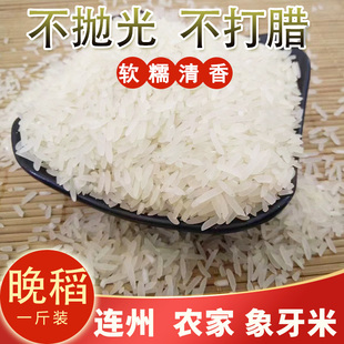 连州特产2025年新米冬米连州农家米不抛光梯田米晚造油粘米象牙米