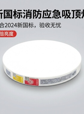 IP65新国标消防应急吸顶灯照明灯具物业楼道走廊室内消防停电照明