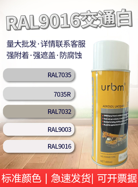 RAL9016交通白金属9003修补漆7035浅灰自动喷漆劳尔RAL9017交通黑