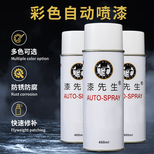 9018 9003劳尔油漆白银系列手喷漆 9016 纯白RAL9010自喷漆9006