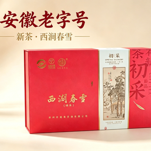 安徽老字号滁州施集新茶西涧春雪绿茶