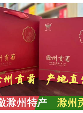 金鹰滁菊花茶滁州贡菊2025新茶