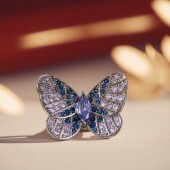 新款 百搭胸花高级感轻奢小众别针配饰 靓丽蝴蝶胸针女精致优雅时尚