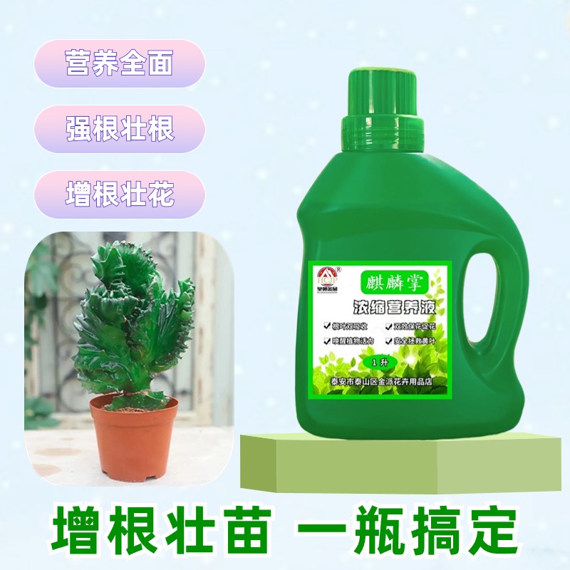 金玉彩麒麟仙人掌专用浓缩营养液