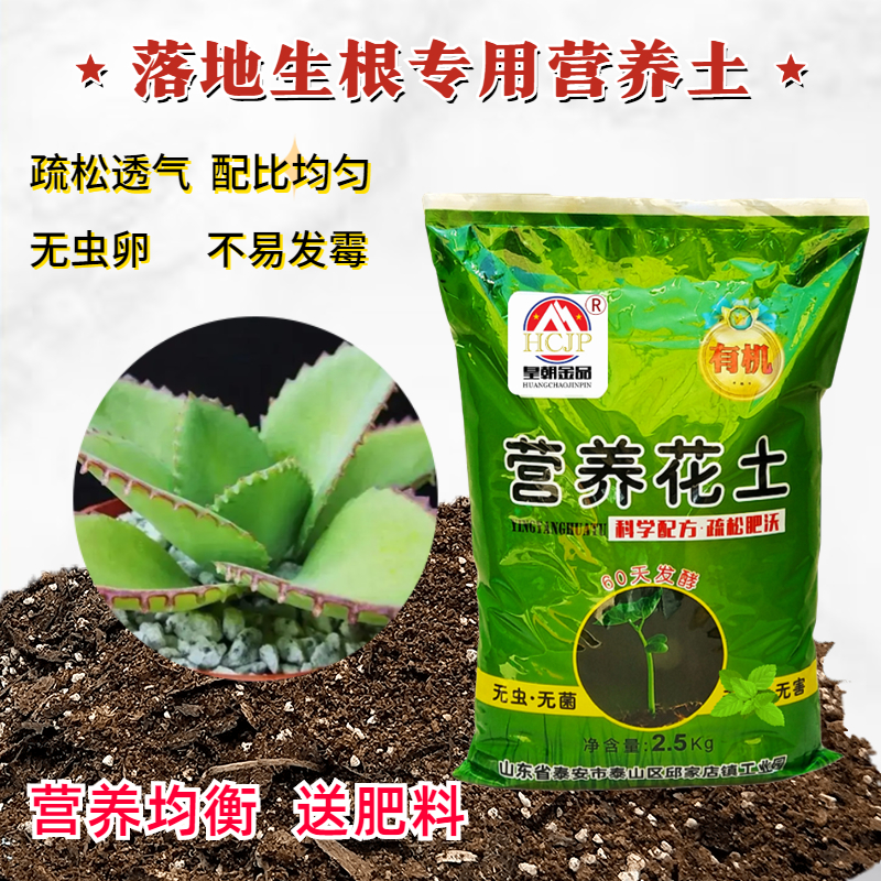 落地生根不死鸟专用营养花土家用盆栽多肉植物有机腐殖花种植土壤