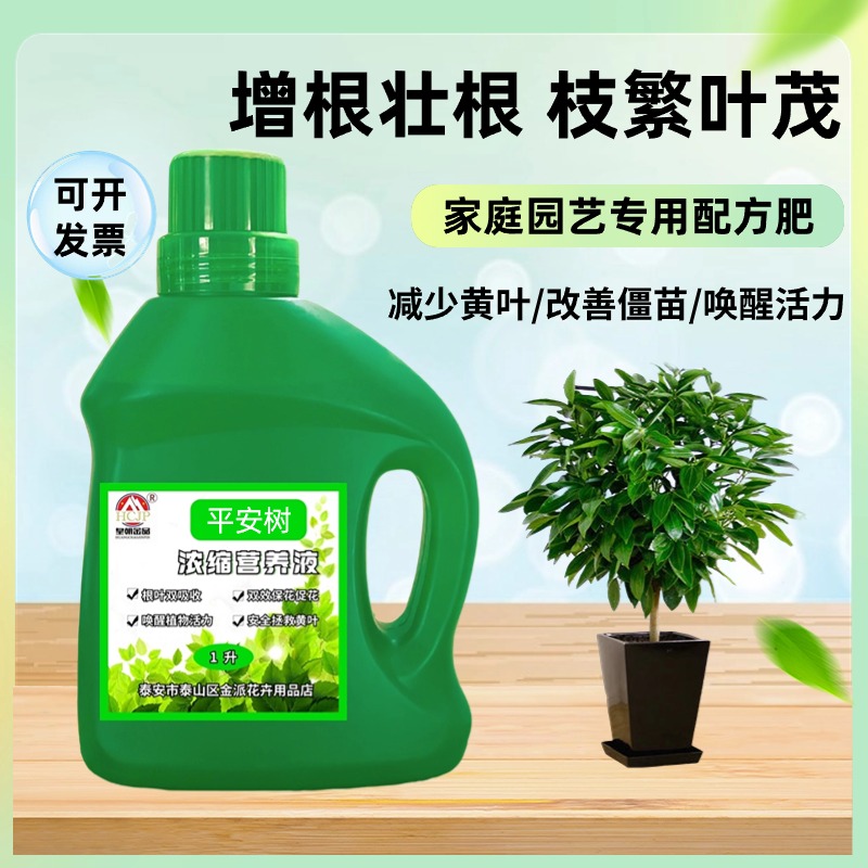 平安树兰屿肉桂专用浓缩营养液