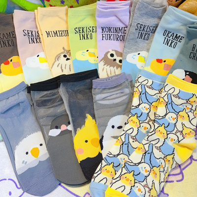 出口日本可爱雪精灵北长尾山雀虎皮鹦鹉玄凤鹦鹉小鸟肥啾短筒女袜