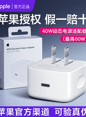 Apple/苹果 40W 动态电源适配器（至高 60W）USB-C充电器原装正品快充头适用iPhone17 Pro Max手机15 16 Air