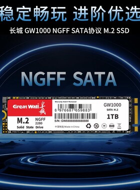 长城GW1000固态硬盘M.2接口SATA协议1TbSSD台式机笔记本电脑硬盘