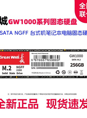 长城GW1000固态硬盘M.2接口SATA协议1TbSSD台式机笔记本电脑硬盘