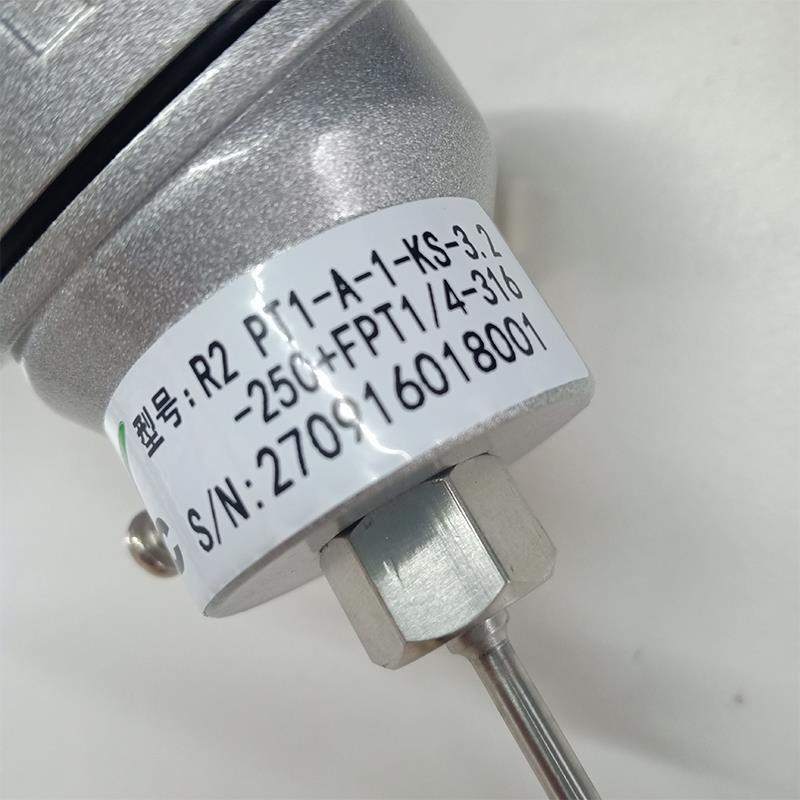议价台湾EYC温度传感器R2 PT100 管径3.2MM 杆长250MM FPT1/4螺纹