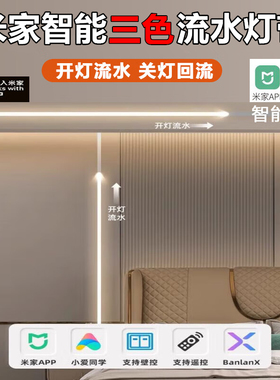 已接入米家追光跑马流水灯带三色调光调色24vled灯条家用线形灯