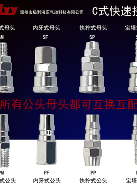 C式快速快拧SP PP 外牙SM PM宝塔SH PH 内螺SFPF203040空压机接头