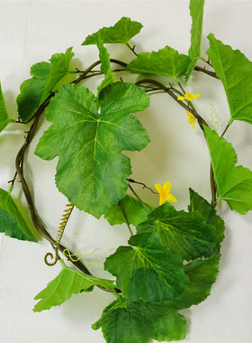 仿真南瓜藤西瓜丝瓜藤大叶藤假植物藤条绿色叶藤田园缠绕挂藤造景