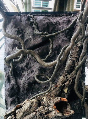 阻燃仿真树藤枯藤蔓雨林缸假山攀爬宠随意弯曲造景圣诞树装饰造型