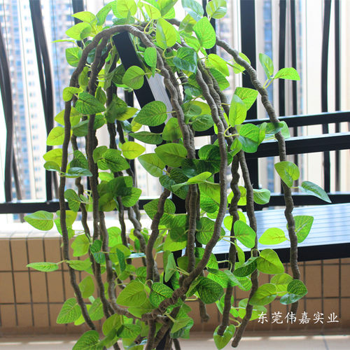 仿真藤条垂吊假树空调管道装饰 吊顶绿萝藤蔓植物假花藤遮挡绿叶 - 封面