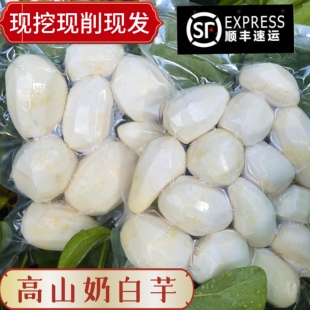 文成芋头去皮小芋头新鲜现挖现发软糯香半成品去皮奶白芋红芽芋