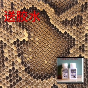 二胡专用皮 越胡 中胡  蒙皮琴皮 三弦高胡 热瓦普 大胡皮