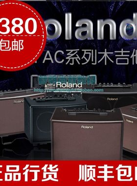 Roland罗兰AC33电池户