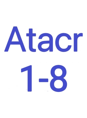 【超战推荐】EG产 ATACR 1-8原品短光路菌斑版战术素描弹弓配件