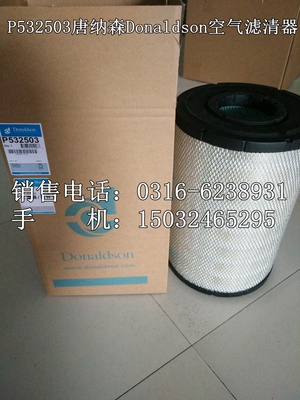唐纳森donaldson空气滤芯包邮