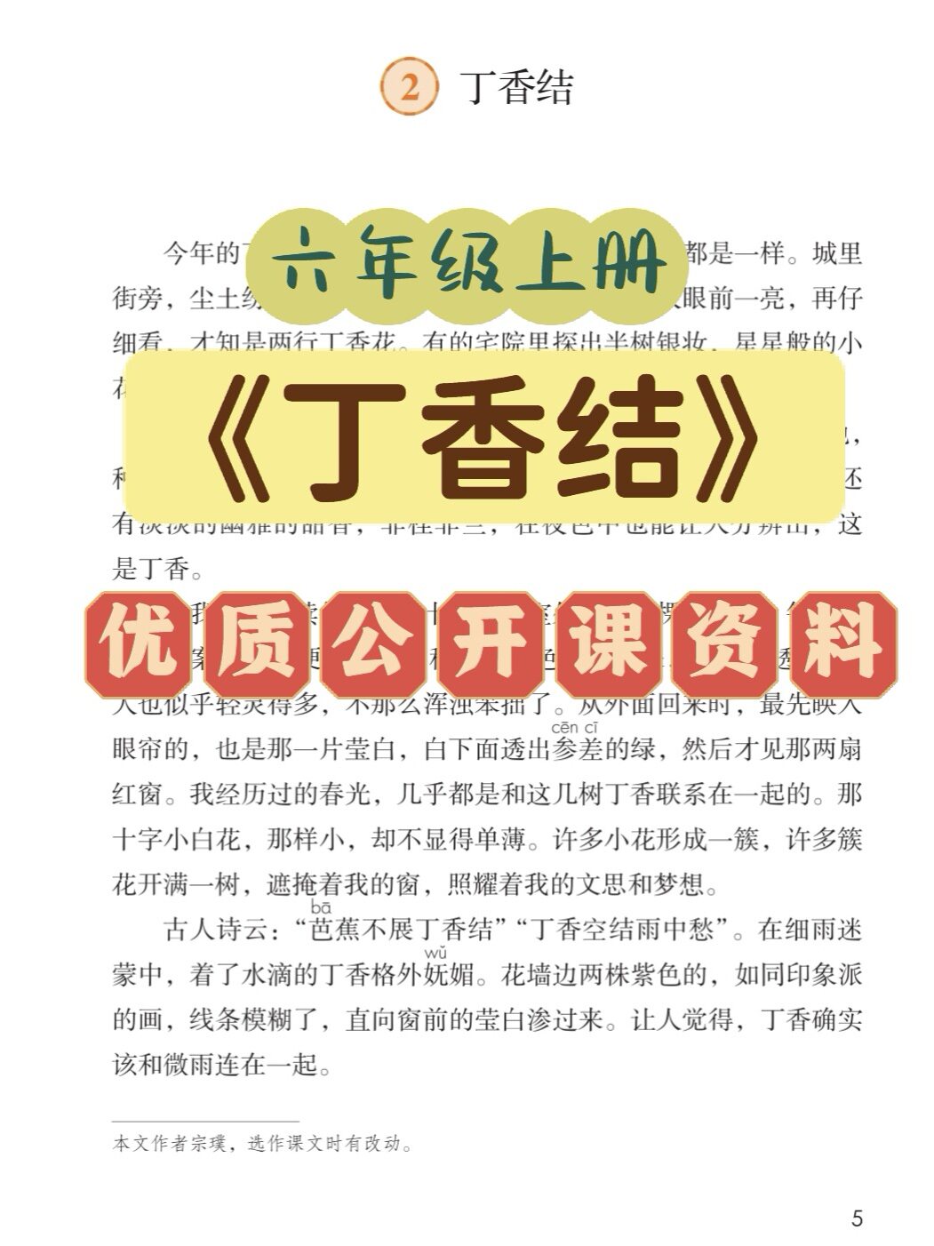 小学语文六年级上册丁香结优质公开课视频课件教案逐字稿