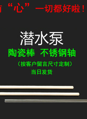 潜水泵陶瓷轴芯不锈钢转子配件