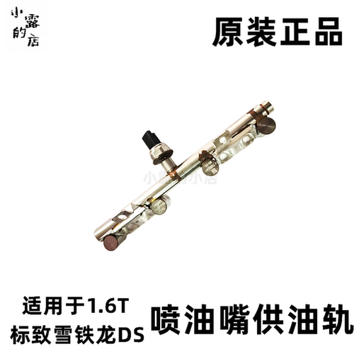 30081.6T喷油嘴供油轨标致198544