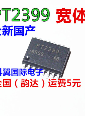 全新 PT2399S 回声处理IC 音频数字混响电路 SOP-16 直接拍下