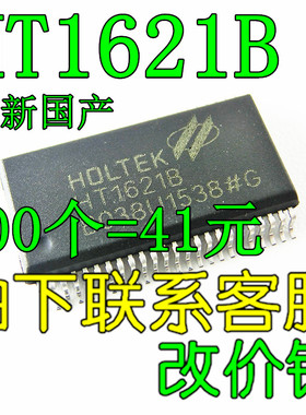 全新国产 HT1621B SSOP-48 全新 贴片 RAM映射 LCD驱动器 液晶芯