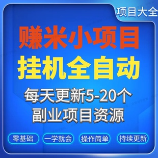 赚钱小项目手机电脑挂机全自动知识付费副业赚钱项目游戏搬砖课