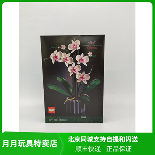 乐高积木 创意IDEAS系列10311 兰花 绿色植物盆景 拼装玩具