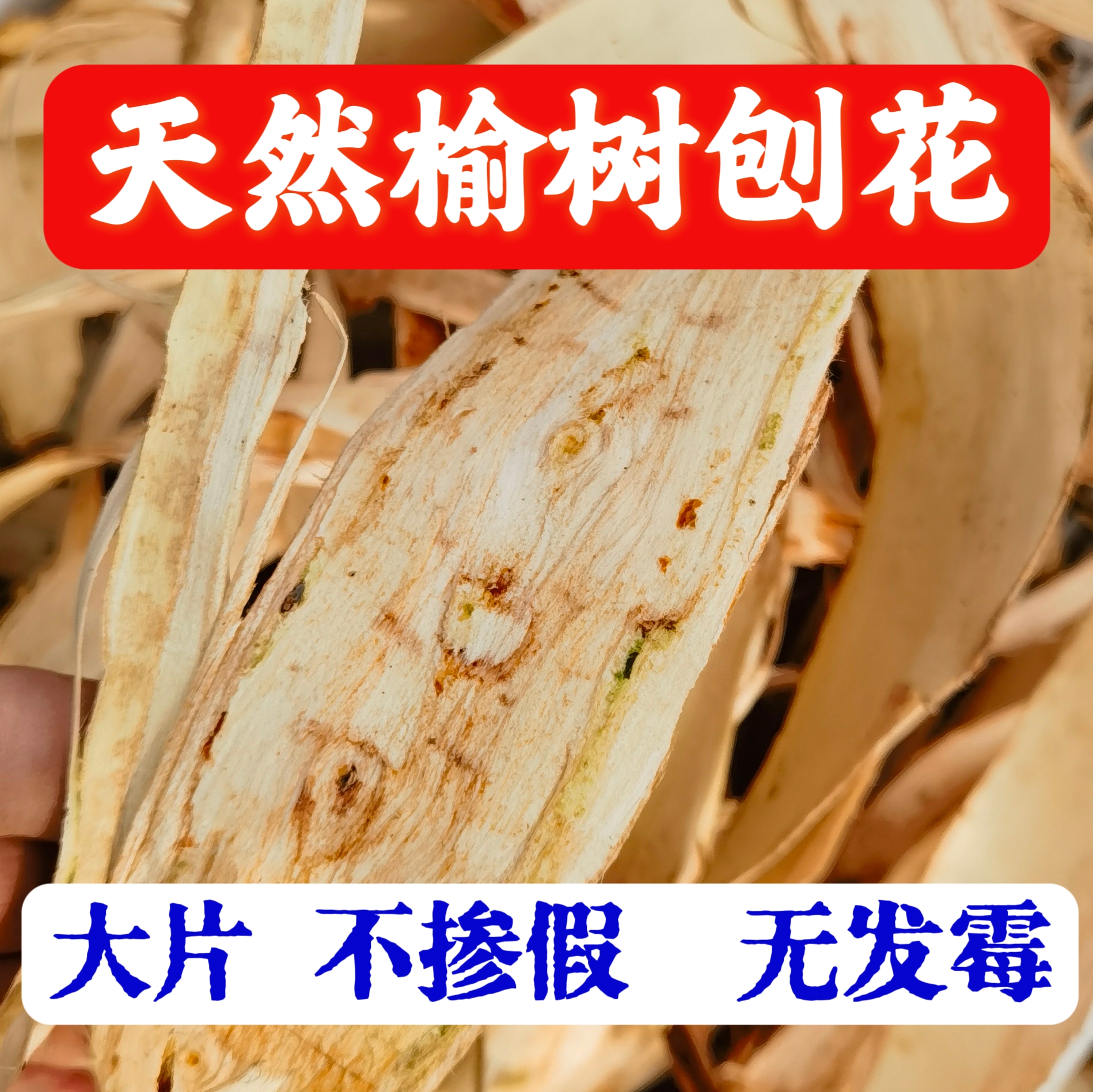 增稠自制洗发水增稠剂正宗榆树刨花洗发水天然增稠剂500g榆白皮