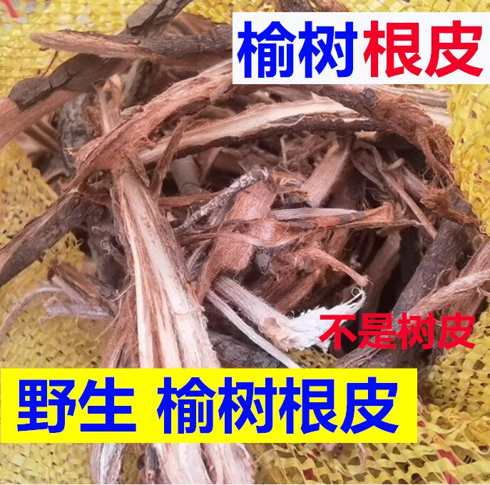新品太行山榆树根皮中草药材