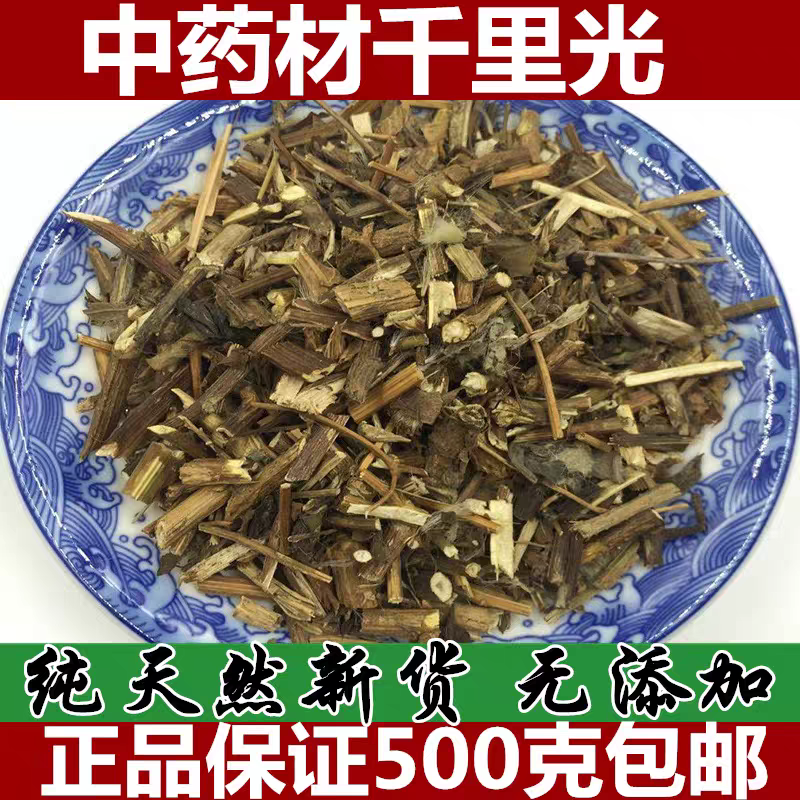 野生千里光 中药材 草药 天然 九里明 九里光 黄花母 500克 包邮