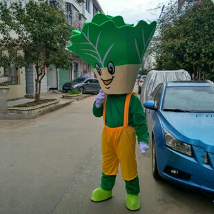 蔬菜成人穿行走玩偶白菜卡通人偶服装农业植物宣传服辣椒茄子定制