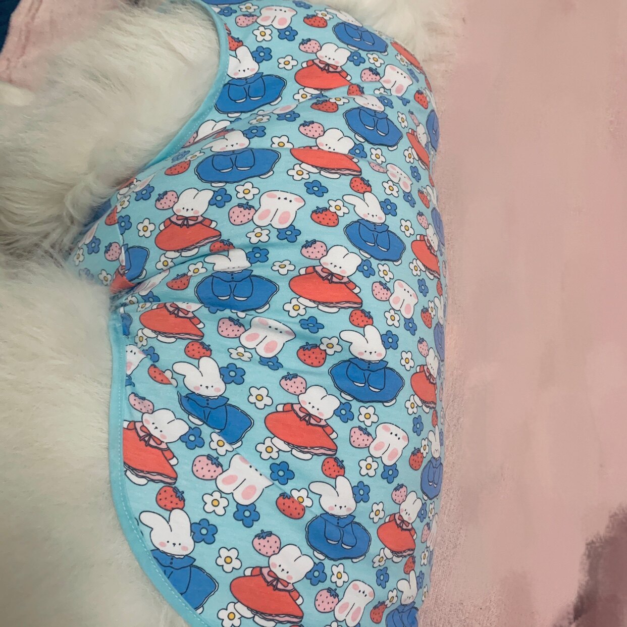 宠物狗衣服春秋防晒防掉毛蚊虫叮咬纯棉弹力无袖萨摩耶金毛犬衣服图片