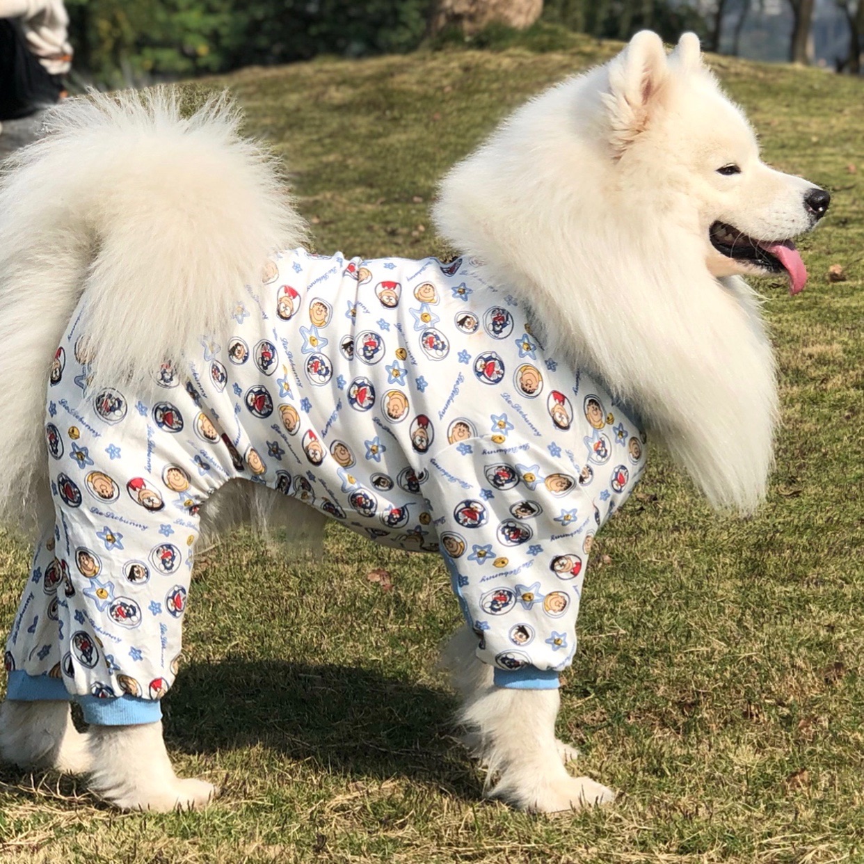 宠物狗纯棉四脚衣服中小型犬春秋装护肘关节服室内空调剃毛睡衣