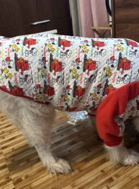 中大型犬两脚加厚护肘关节冬款保暖夹棉宠物拉布拉多金毛边牧衣服