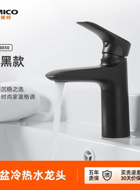 埃美柯amico 台盆冷热水龙头黑色磨砂款洗手盆家用全铜