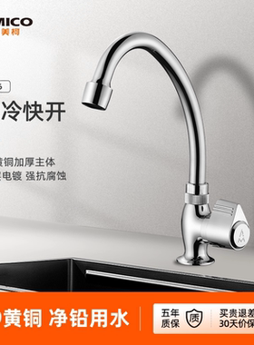 埃美柯amico 厨房单冷水龙头水槽洗菜盆拖把池全铜洗衣池龙头套装
