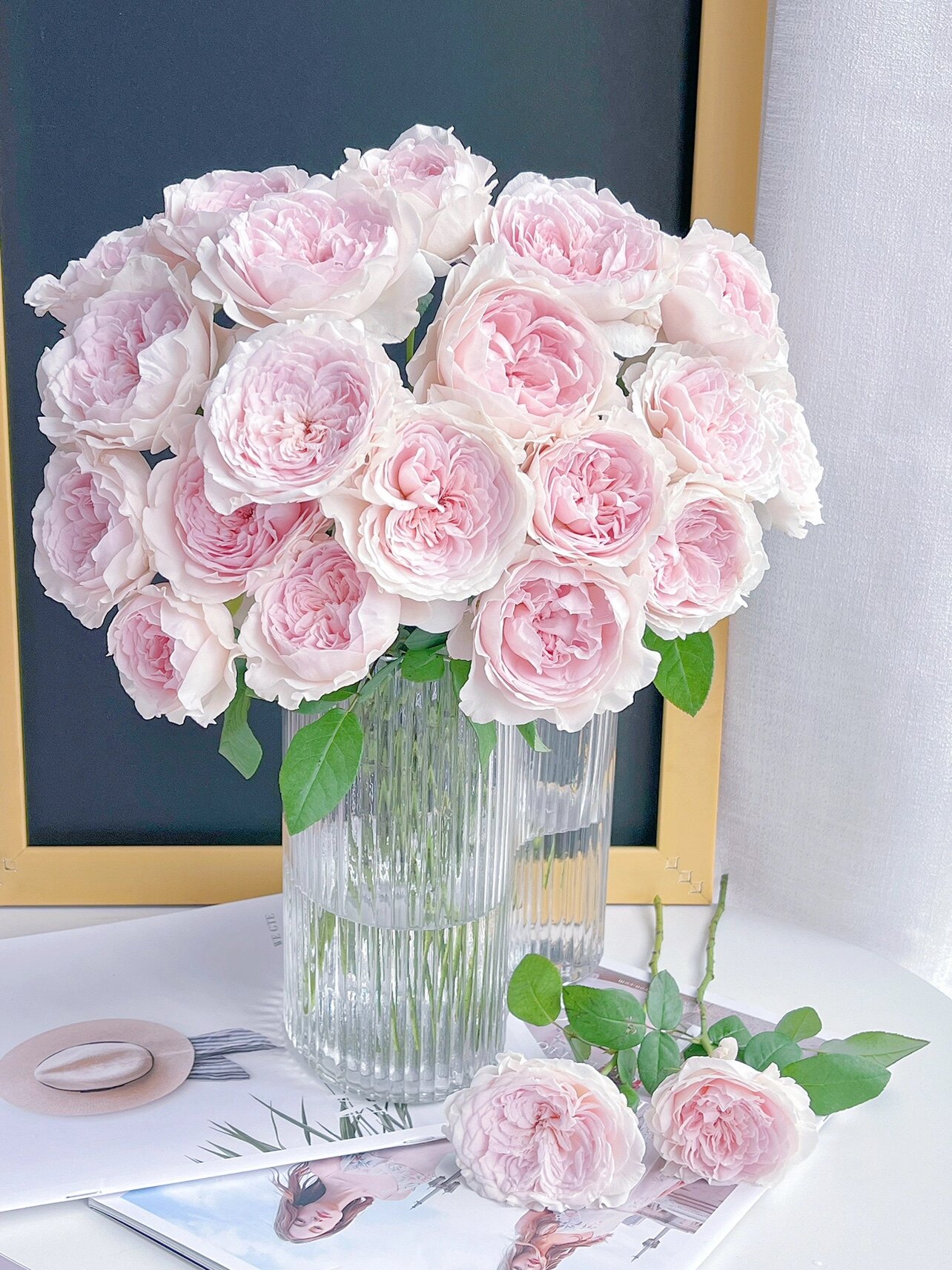 【顺丰冷链】超稀有草莓奶昔单头玫瑰鲜花云南昆明直发