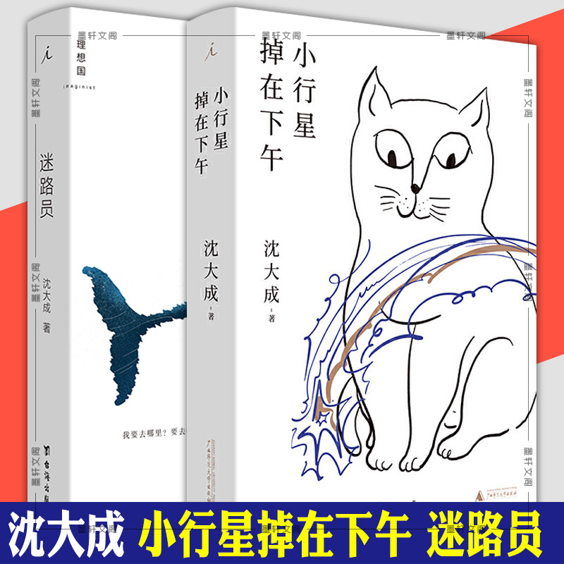 现货正版 沈大成作品2册套装:迷路员 小行星掉在下午 理想国出版 青年
