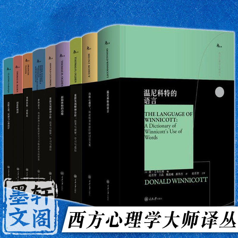 重庆大学西方心理学大师译丛10册温尼科特的语言 投射性认同和心理