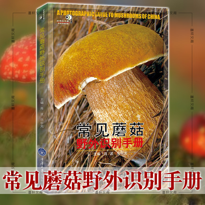 现货正版 重庆大学科普书籍  好奇心书系·野外识别手册：常见蘑菇野外识别手册 肖波 范宇光 编属于什么档次？