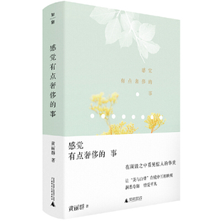 图书 广西师范大学出版 感觉有点奢侈 黄丽群著 社 事 正版