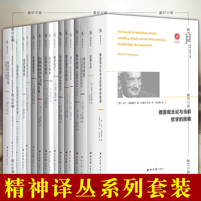 正版西北大学精神译丛系列