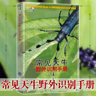现货正版重庆大学科普书籍 好奇心书系 野外识别手册常见天牛野外识别手册 昆虫爱好者入门 鉴定天牛和野外参考的工具书 林美英 著