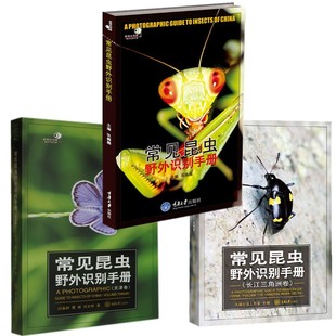天津 长江三角洲卷 重庆大学出版 好奇心书系 张巍巍 常见昆虫野外识别手册 社 大城小虫工作室等编著 3册